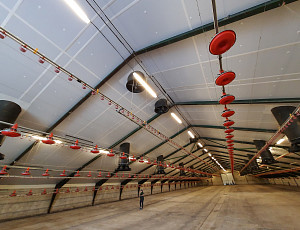 Zateplení stropu zemědělské haly